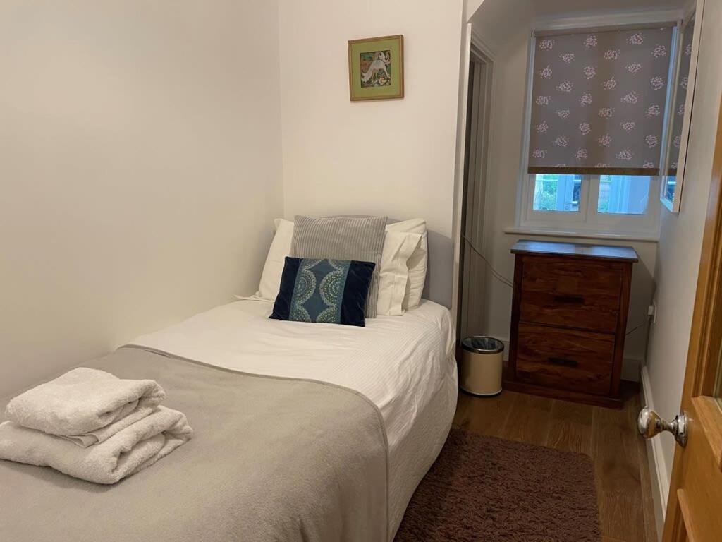 Apartament Beautiful 3 Bed Basement Flat With Garden Bath Zewnętrze zdjęcie